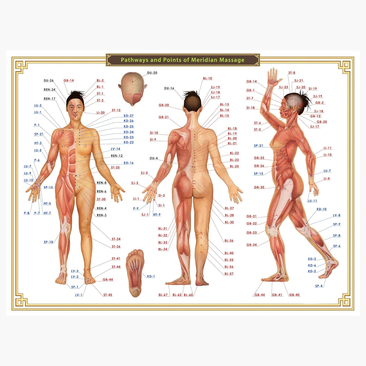 k-start-course-image